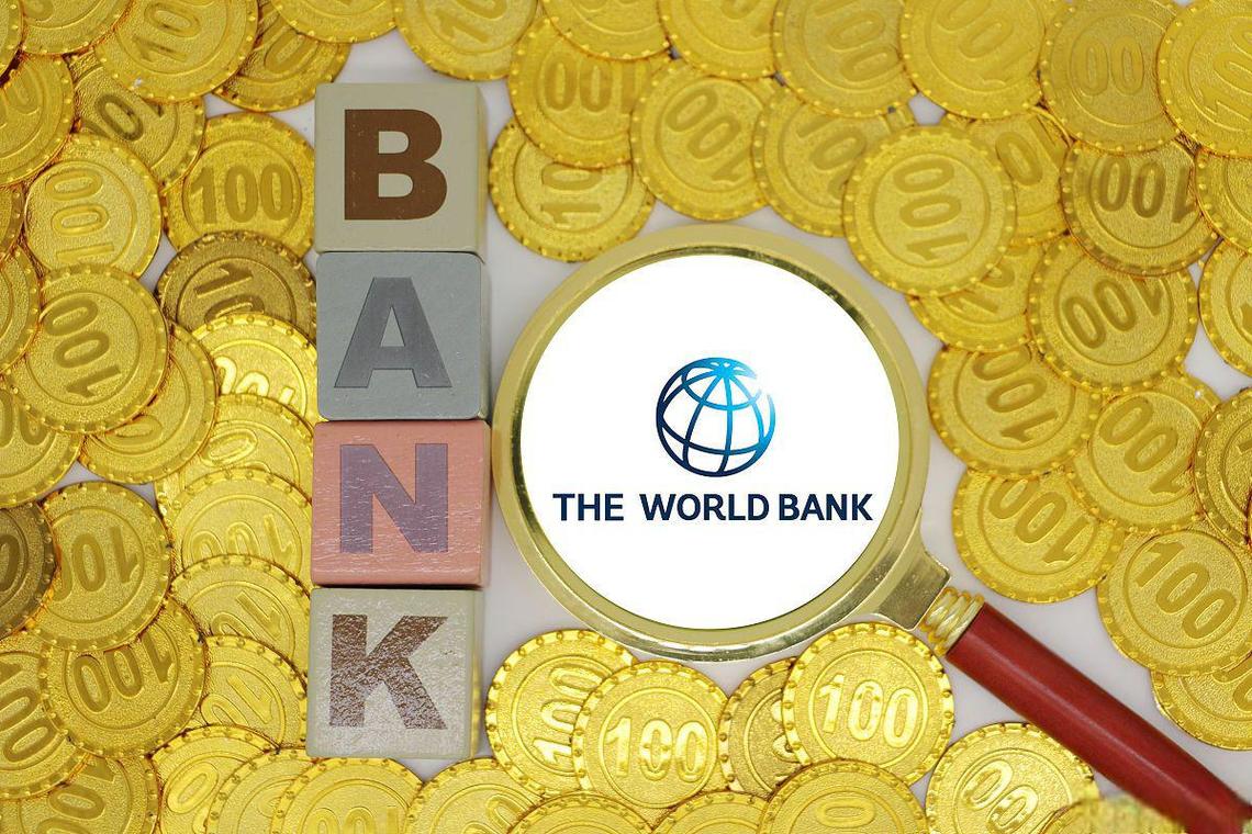 国际货币基金组织和世界银行指出，债务重组取得了重大进展